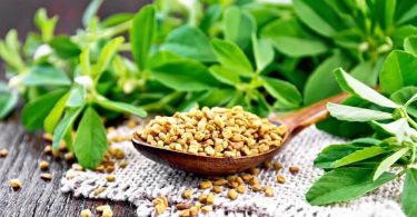 Combien de graine de fenugrec par jour