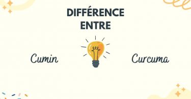 Quelle est la difference entre cumin et curcuma