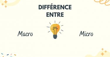 Quelle est la difference entre macro et micro