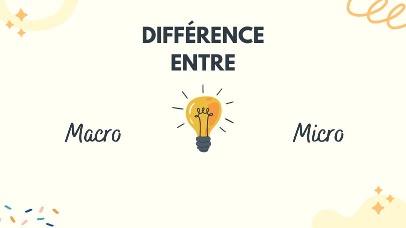 Quelle est la difference entre macro et micro
