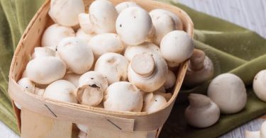 Peut on congeler des champignons