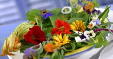 Peut on congeler des fleurs comestibles