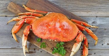 Peut on congeler du crabe