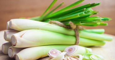 Peut on congeler la citronnelle