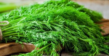 Peut on congeler laneth