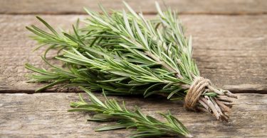 Peut on congeler le romarin
