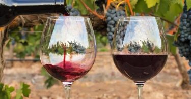 Peut on congeler le vin rouge