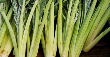 Peut on congeler les cardons