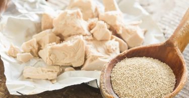 Peut on congeler de la levure seche