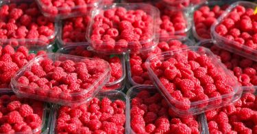 Peut on congeler des framboises