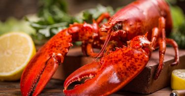 Peut on congeler du homard