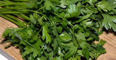 Peut on congeler la sauce au persil