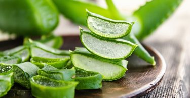 Peut on congeler laloe vera