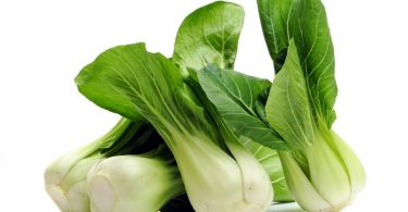 Peut on congeler le Pak Choi
