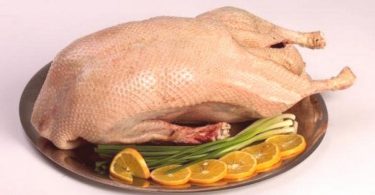 Peut on congeler le faisan