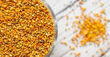 Peut on congeler le pollen dabeille