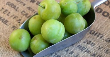 Peut on congeler les Greengages