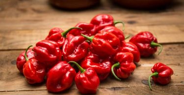 Peut on congeler les Habaneros