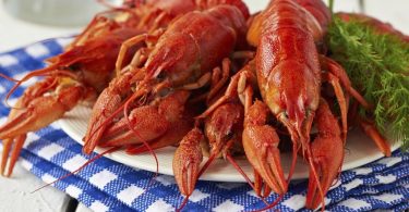 Peut on congeler les ecrevisses