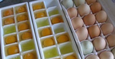 Peut on congeler les jaunes doeufs