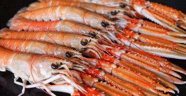 Peut on congeler les langoustines