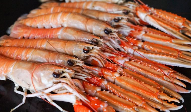 Peut-on congeler les langoustines? - Question & Réponse
