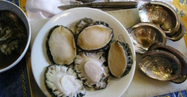 Peut on congeler les ormeaux