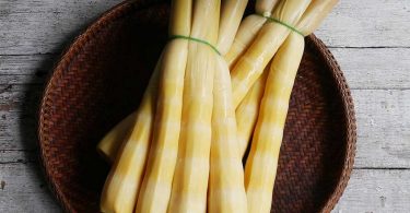 Peut on congeler les pousses de bambou