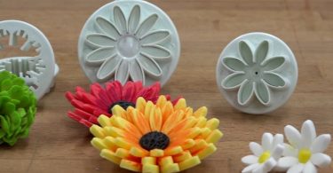 Peut on congeler des fleurs en pate a modeler