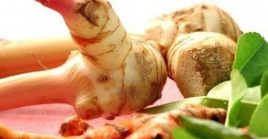 Peut on congeler le galanga